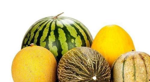 经常吃蓝瓜有什么好处,健康生活的新宠，益处多多的天然美食