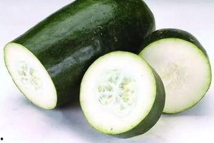 四瓜吃啥都行,探索无尽美食之旅