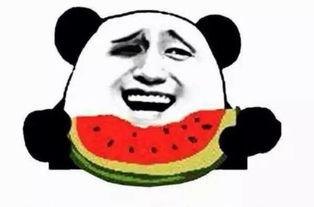 阿豪吃瓜群众,揭秘娱乐圈幕后风云