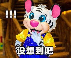 长隆吃瓜,揭秘动物世界的趣味瞬间