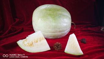 三白瓜怎样吃,解锁美味新体验