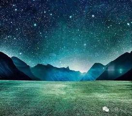 不见星空吃瓜,尽享瓜界盛宴